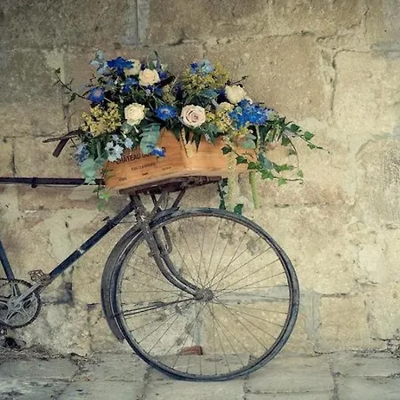 Bicycle *